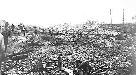 From Riemann to Schrodinger:Cats in Modern Physics and in the Unconscious Mind