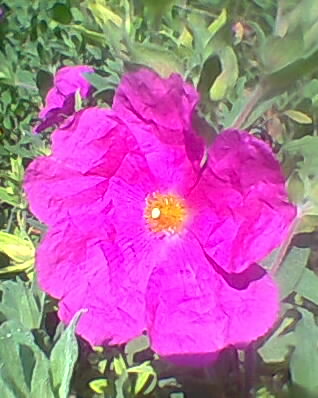 From my July musings 2012