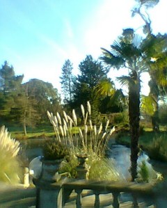 The Introversion-Creativity Link: How to build your brain's "alpha power" | Psychology Today