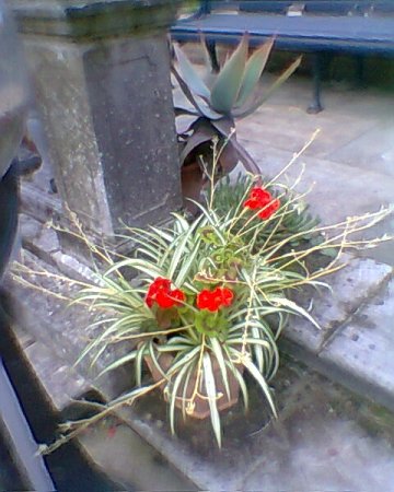 1 september and late August 2011 069