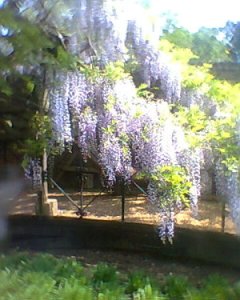 6396444_a6db05029f_m