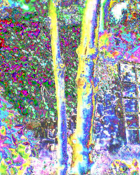 tree trunks by wall in artweaver