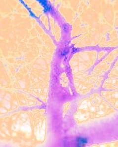 6804453_22abec948f_a 2