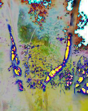 6819924_f1126074c2_m altered