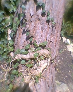 Hot March days 041
