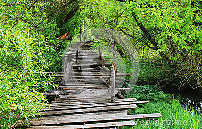 dangerous-wooden-bridge-if-broken-foot-31740048