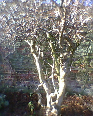 7613537_5314b5b2fd_m