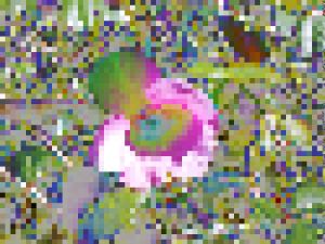pixellated pink flower