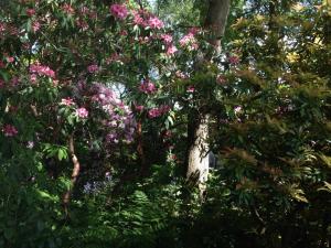 10406849_10202841679696470_5586741854575583301_n