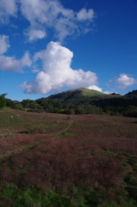 file9251265082101(1)