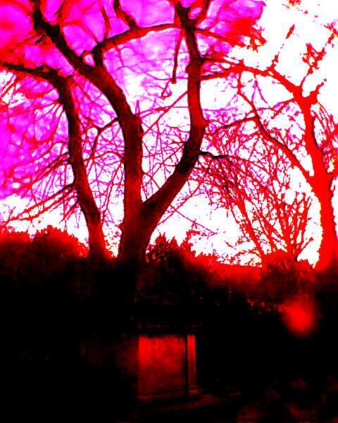 1005131_329535463846255_1287621998_n