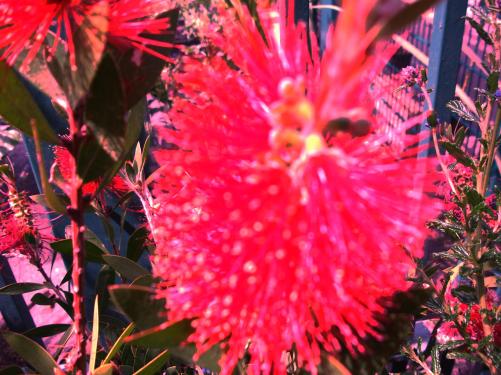 7055344_91a3532a8b_m