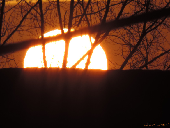 2015 03 04 sun peeking  jpg  sig