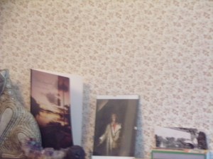 KODAK Digital Still Camera