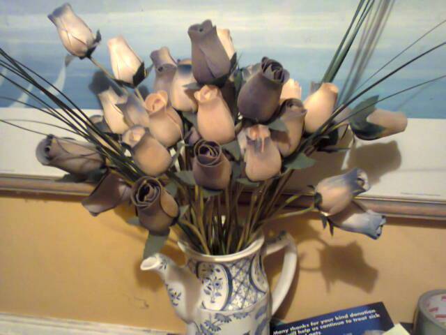 10403606_483675265105690_2060981220485141876_n