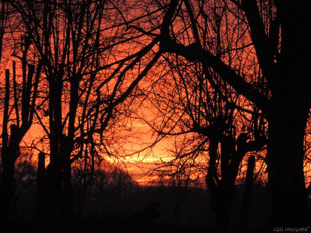 2015 11 28 morning view 1 jpg sig