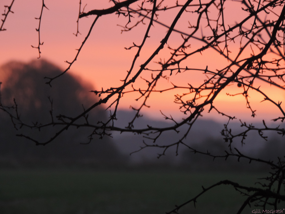 2015 11 28 morning view jpg sig