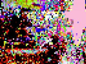 7321081_ddc4f0581d_m-300x225