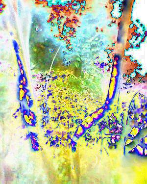 6819924_f1126074c2_m-brighter