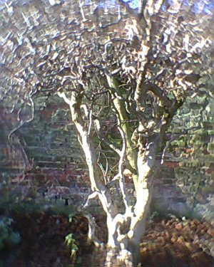 7613537_5314b5b2fd_m