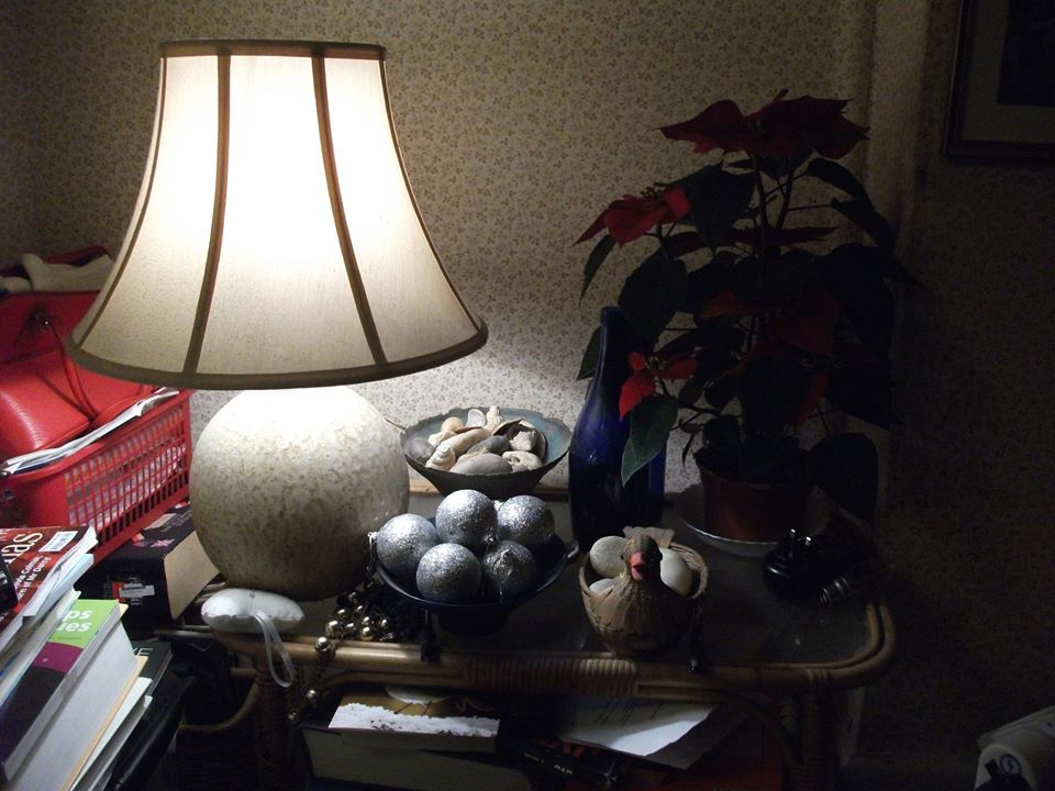 12717545_665991480207400_9095795496204359785_n