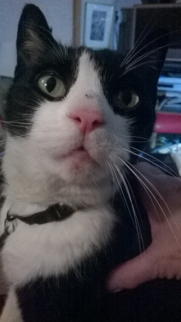 Created with Nokia Smart Cam