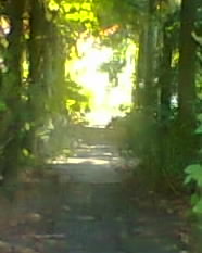 2012-09-13 12.30.28-1