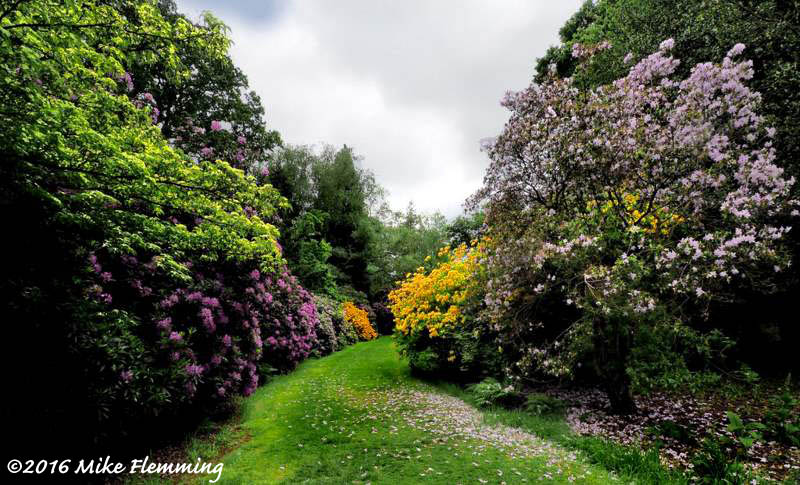 Nuneham_2016-2 [800x600].jpg