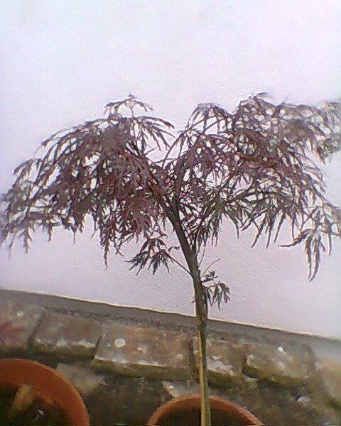 11880567_607097136096835_5259809566679842932_n