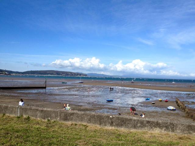 13920761_10208628903333444_6196718056528026069_n