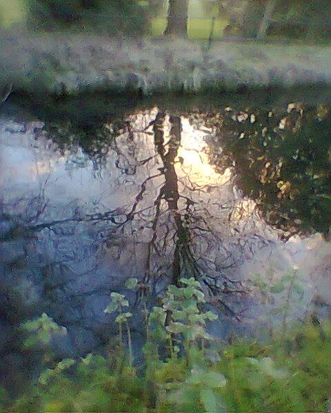 11222796_607097926096756_6292047065533955902_n