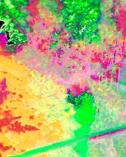 the-river-in-colour-2