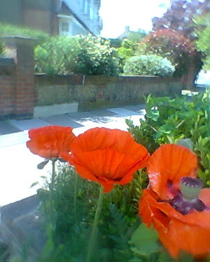 bbf78-6395086_ec46b81f11_m