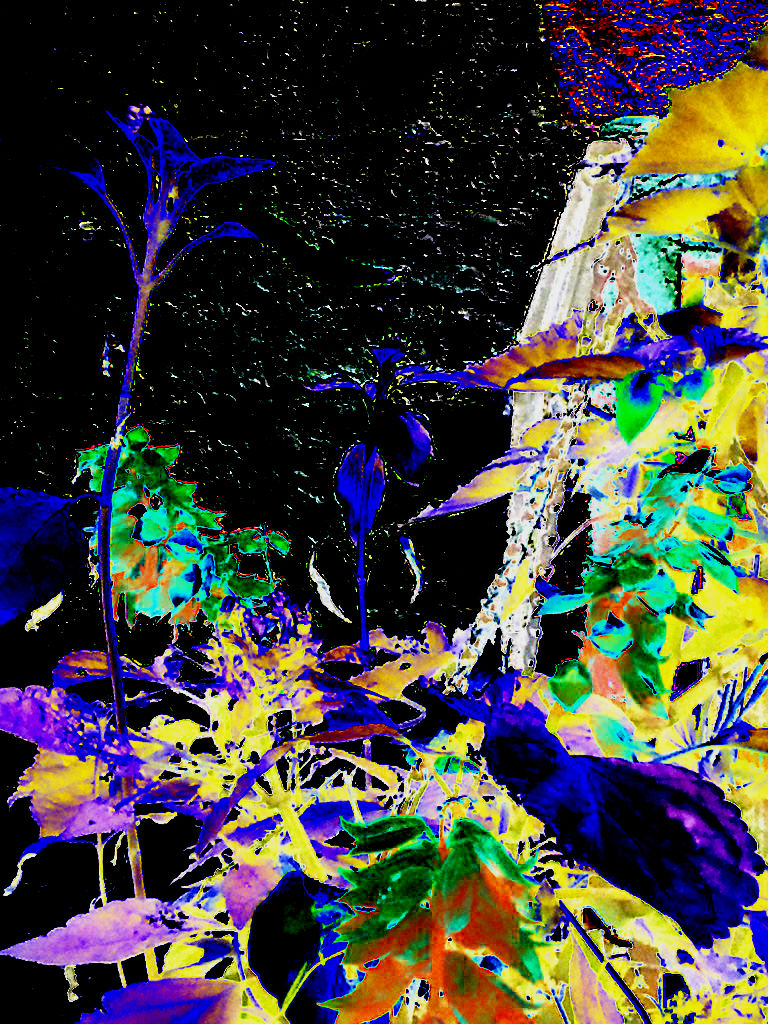 img_20160928_163045-2