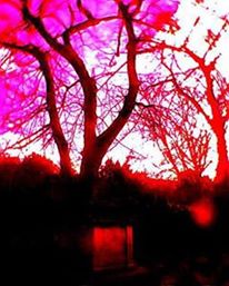 11165327_652321328241082_7567875285690634624_n