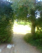 8049596_b4573d4772_s