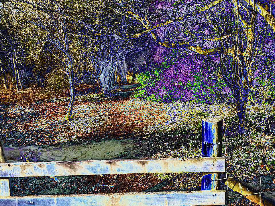 10444378_10204711027787549_aan