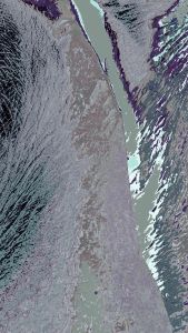 wp_20161103_09_44_01_pro-2-222222