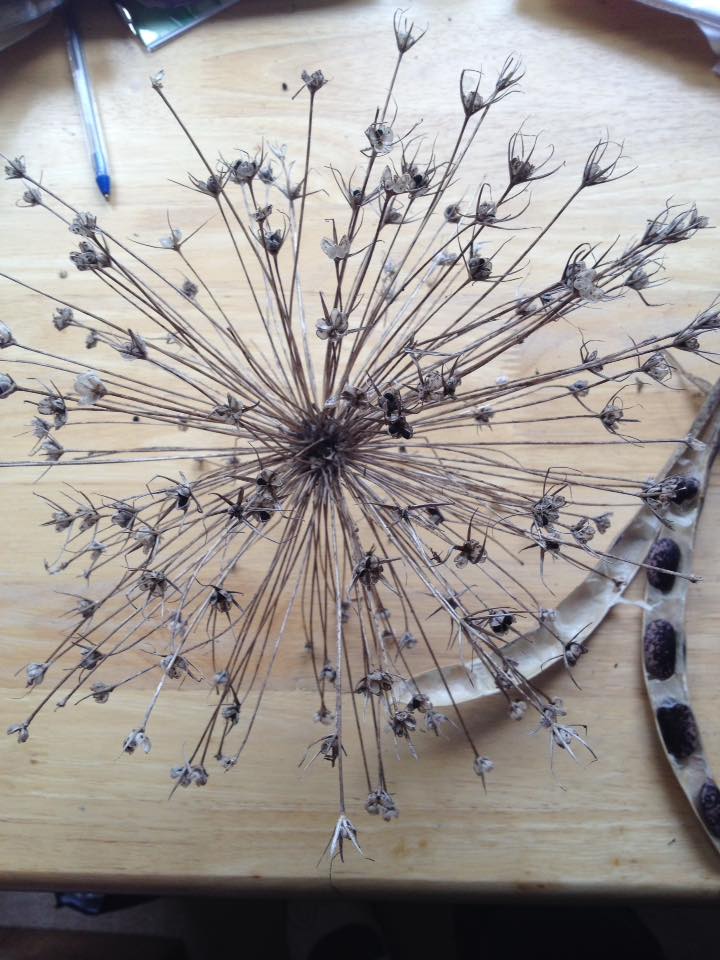 17201379_10210578270546406_4378350169404945944_n