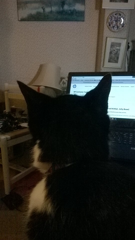 713_673073662832515_107243526376542753_n