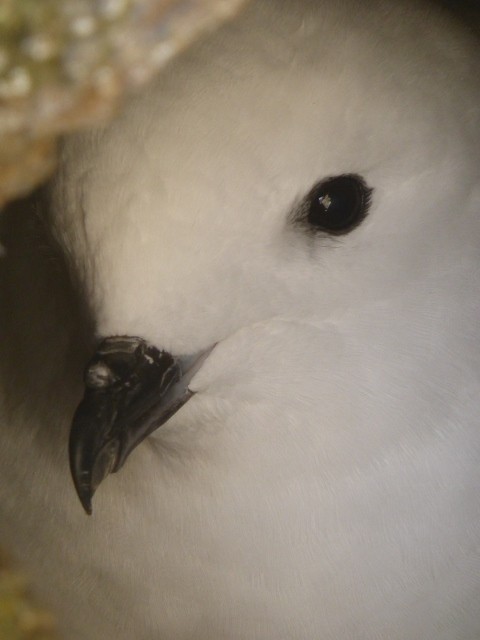 thumb_6090_default_1600