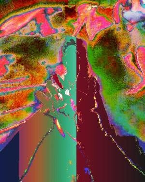 LmKHzJImShgqYAfvPxvEJ2TQFH8xL6aPFEspKsuXOoYpX92IB