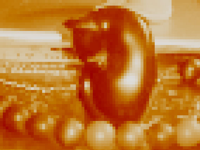 11934957_613825765423972_5235804970896617712_ 2n