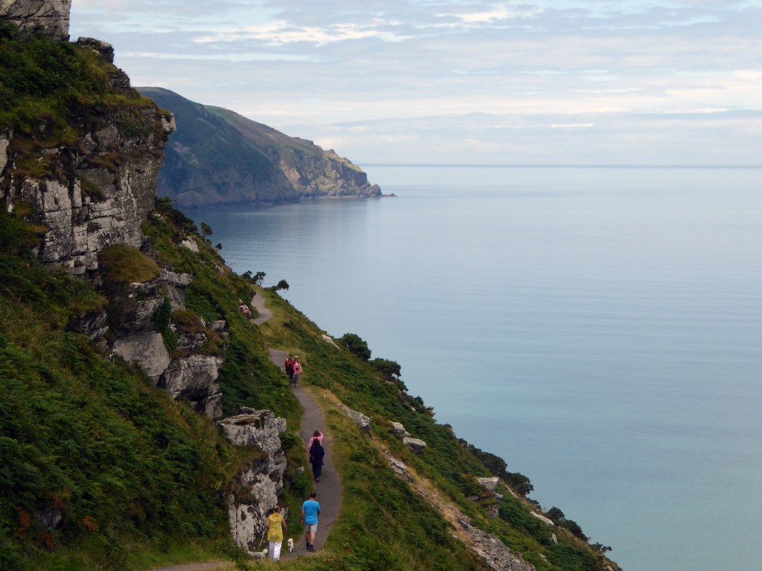 Devon Goat dung trail 2