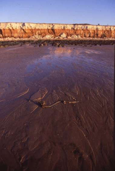 eastern_wash 3_coastline