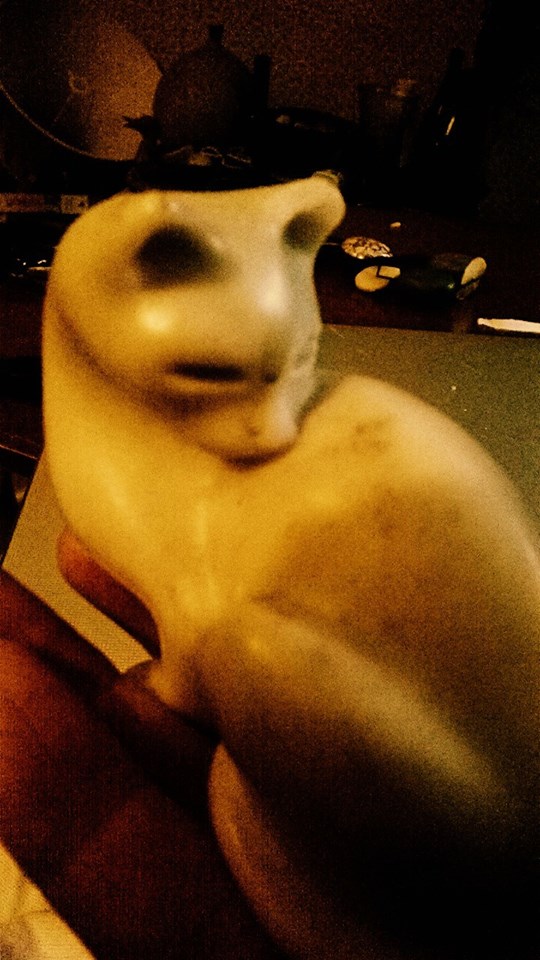 12004980_617007068439175_7950004853963100153_n