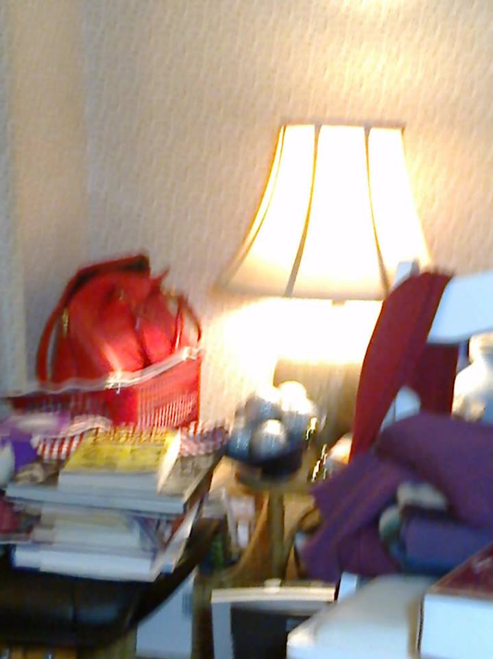 12650976_666000920206456_8922462073619157870_n