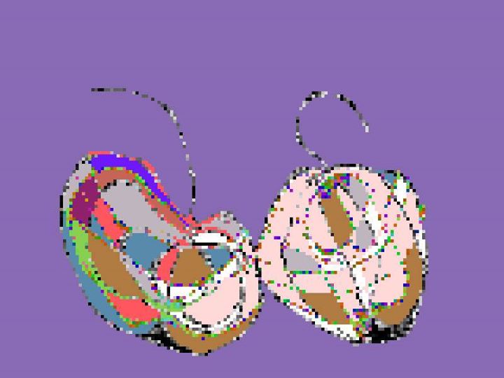 16142652_853309354808944_225912538121751134_n