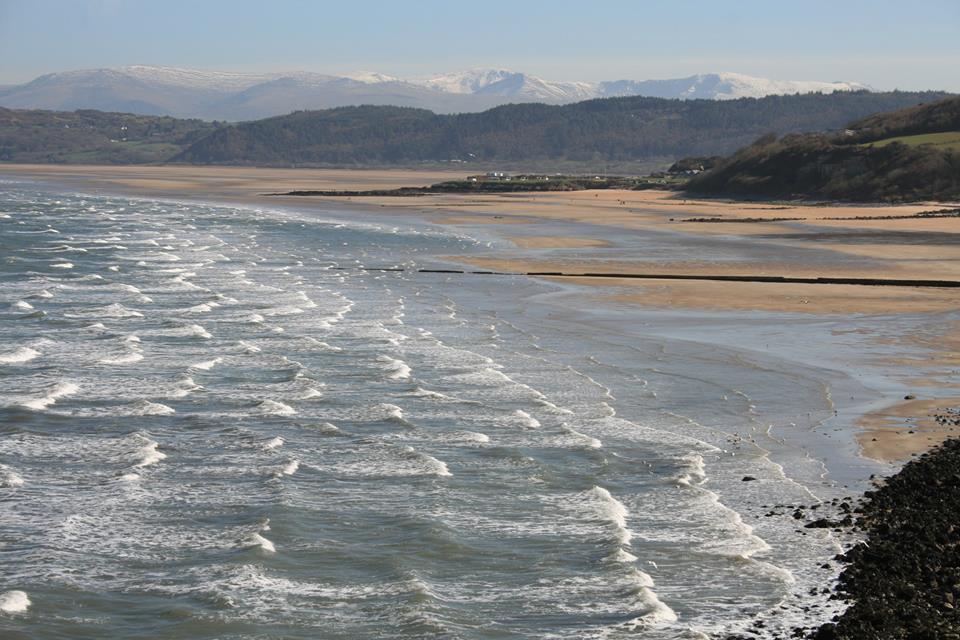 17426218_201083053714470_7596625126319090795_n