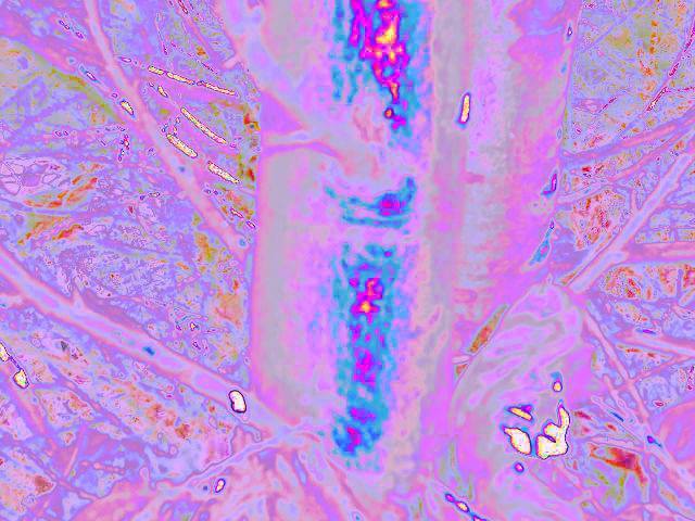 14993456_803616356444911_2244128012820919368_n